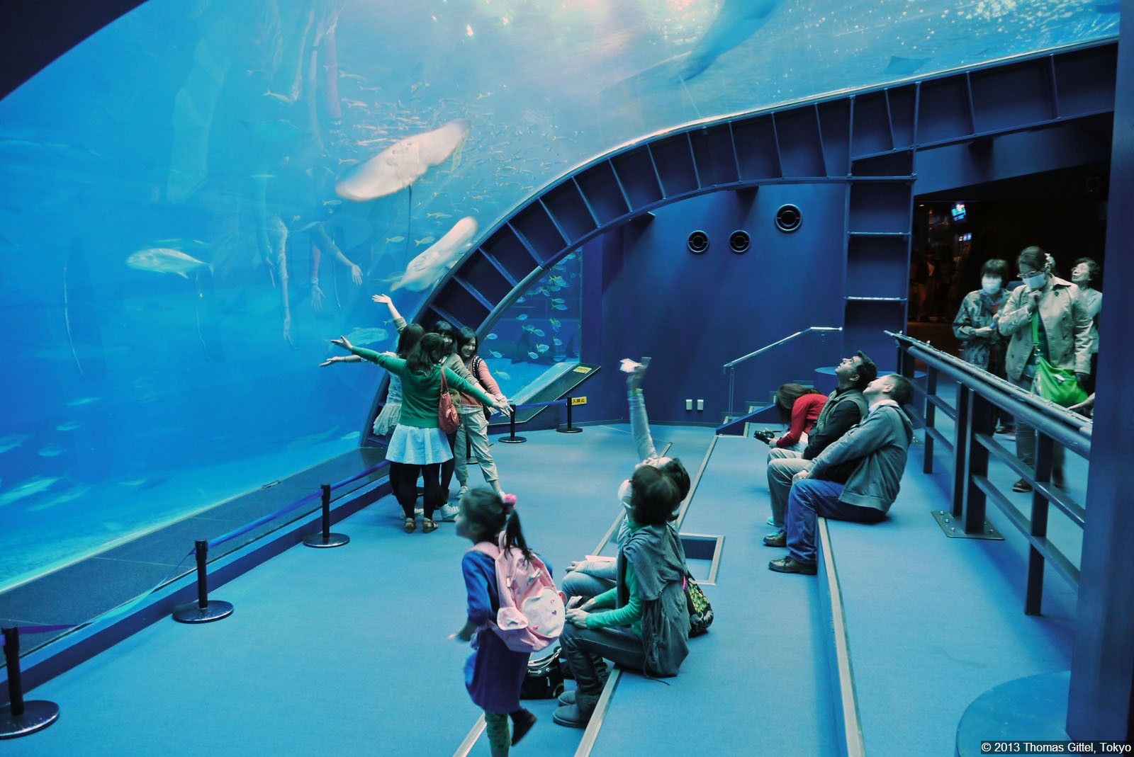 Churaumi Aquarium