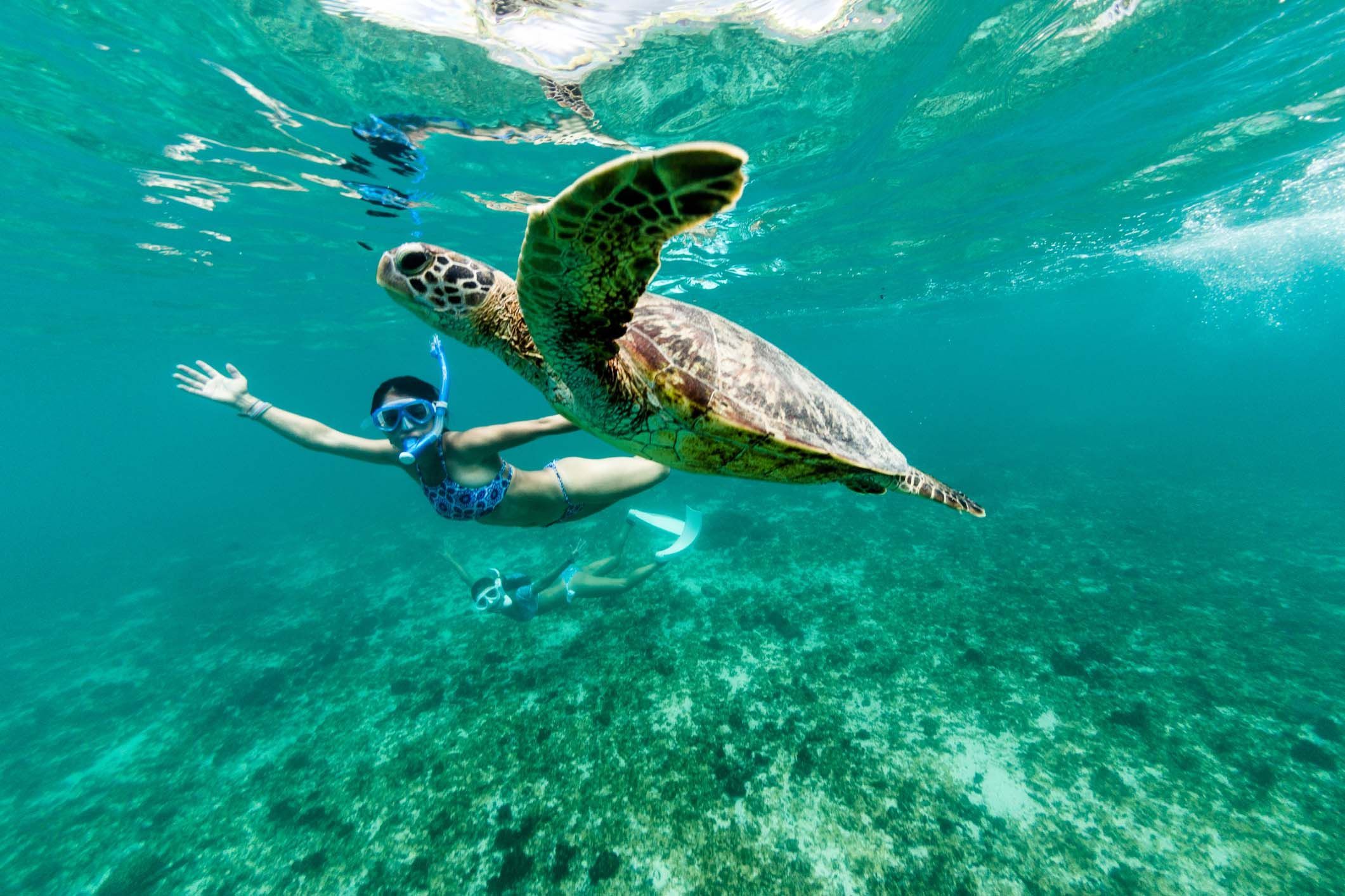 Tropical Okinawa